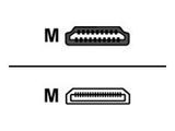 Equip HDMI HS Ethernet 1.4 A-C 4K/30Hz 2.00m schwarz Polybeutel