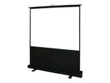 Elite Screens Koffer 16:9 265*149cm ezCinema schwarz