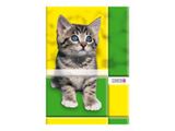 LANDRE Schulheft A5 16 Blatt 80 g/qm Lineatur 1 10Stk
