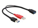 DELOCK USB3.0 Y-Kabel 2x A -> A St/Bu 0.30m