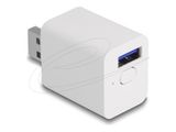 DELOCK WLAN EASY-USB Smart Life Schalter