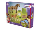 Schleich Horse Club Sarahs Tierbaby-Pflege