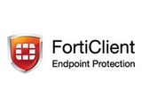 FORTINET Endpoint-based Licenses -VPN/ZTNA 1Year FortiClient