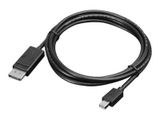 Lenovo Mini-Displayport zu DP-Kabel (2m)