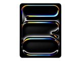 Apple iPad Pro 13" WIFI 1TB silber (7.Gen.) iOS