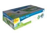 PAPER MATE Korrekturroller Dryline Grip Recycled 12 Stck