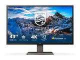 Philips 108,0cm(42,5") 439P1 16:09 3xHDMI+DP+USB-C VA