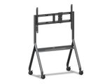 Viewsonic Schlanker Trolleywagen 55"-105"