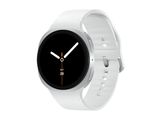 Samsung Galaxy Watch 8 Silver 44mm DE Model
