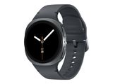 Samsung Galaxy Watch 8 Graphite 40mm DE Model