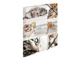 HERMA Sammelmappe A4 Katzen Pappe