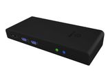 Multi-DockingStation IcyBox für Notebooks und PCs