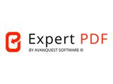 Avanquest ESD eXPert PDF Pro WIN 1 Benutzer ML