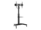 Techly TV Wagen für LCD LED TV 32"-65", mit Ablage