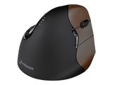 Evoluent Maus VerticalMouse 4 Small Drahtlos bl/brown USB retail