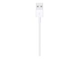 Apple Lightning auf USB Kabel (1m)