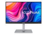 ASUS ProArt PA247CV 60.5cm (16:9) FHD HDMI DP