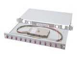 DIGITUS LWL Spleißbox 1HE bestückt 12x LC DX OM4 grau