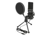 DELOCK USB Kondensator Mikrofon Set