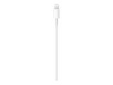 Apple USB-C auf Lightning Kabel (2m)