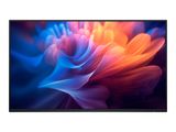 Dell 68.6cm (27") P2725HWO 16:09 HDMI+DP+USB-C IPS noStand retail
