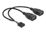 DELOCK USB Kabel Pinheader 10Pin -> 2x A Bu/Bu 0.20m