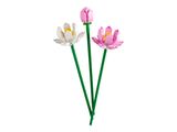 LEGO Botanicals - Lotusblumen 40647