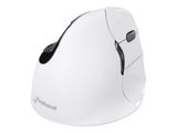 Evoluent Maus VerticalMouse 4 Rechts Mac Bluetooth weiß retail