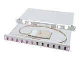 DIGITUS LWL Spleißbox 1HE bestückt 6x LC DX OM4 grau