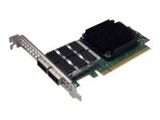 Fujitsu PLAN EP MCX6-DX 2X 100G QSFP28 PCIE