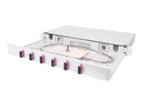 DIGITUS LWL Spleiábox 1HE bestckt 6x SC DX OM4 grau