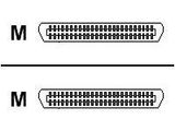 Patton 12 FT Cable 50 PIN TELCO-to-50 PIN TELCO