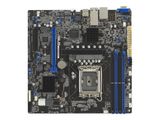 ASUS P13R-M/10G-2T MicroATX 1x LGA 1700 DDR5 2x10G ASMB11
