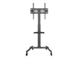 Equip Bodenstandhalter 32"-55"/ 1TFT 35kg 1Ablage schwarz lite Retail