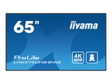 IIYAMA 164.0cm(65") LH6575UHS-B1AG 16:9 3xHDMI+2xUSB+DP retail (Speditionsversand)