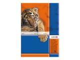 LANDRE Schulheft A5 16 Blatt 80 g/qm Lineatur 5 10Stk