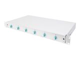 DIGITUS LWL Spleißbox 1HE bestückt 6x LC DX OM3 grau