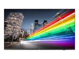 PHILIPS B-Line 65BFL2214 18/7/UHD/350cd DVB-C/T2 (Speditionsversand)