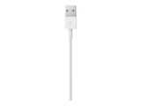 Apple Lightning auf USB Kabel (1m)