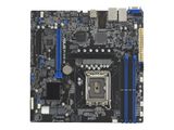 ASUS P13R-M microATX 1x LGA 1700 DDR5 2x1G ASMB11