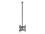 Equip Deckenhalterung 32"-70"/1TFT 50kg 1Gelenk schwarz lite Retail