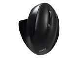 Port MOUSE ERGONOMIC RECHARGEABLE BLUETOOTH RIGHT HANDED