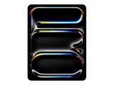 Apple iPad Pro 13" WIFI 2TB space schwarz (7.Gen.) iOS