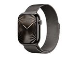 Apple Watch 10 Cell. 46mm Slate Titanium (Slate Milanese)S/M