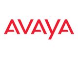 Avaya Wandmontage für IP Office IP500