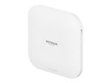 NETGEAR WL-AP WAX620-100EUS Wireless Access Point