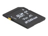 DELOCK SD Express Speicherkarte 256 GB