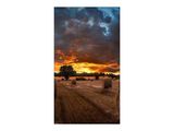 Samsung Smart Signage VM46B-U 116,80cm(46") 3,5mm B-to-B (Speditionsversand)