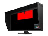 EIZO 79.0cm (31,1") CG319X 17:9 2xHDMI+2xDP+USB 4K