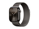 Apple Watch 10 Cell. 42mm Slate Titanium (Slate Milan Loop)